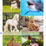 Interacción niños-animales: fortalece empatía y reduce estrés